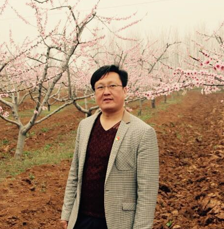 宋建新院长 宋建新院长